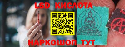 PSILOCYBIN Краснодар