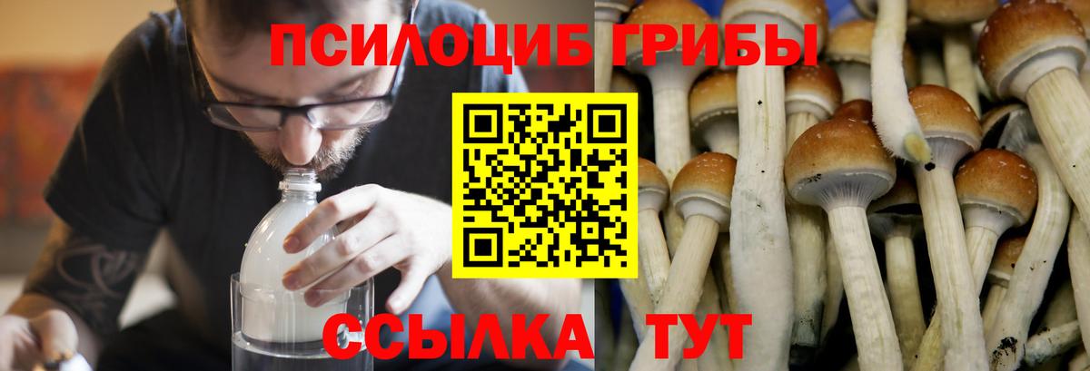 Галлюциногенные грибы Cubensis  Галлюциногенные грибы Cubensis  Вход с VPN  Ипатово 